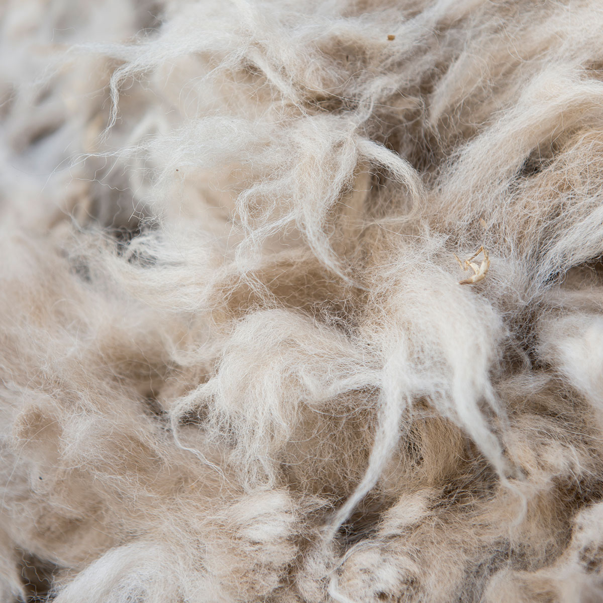 Kluft天然材料——羊驼毛