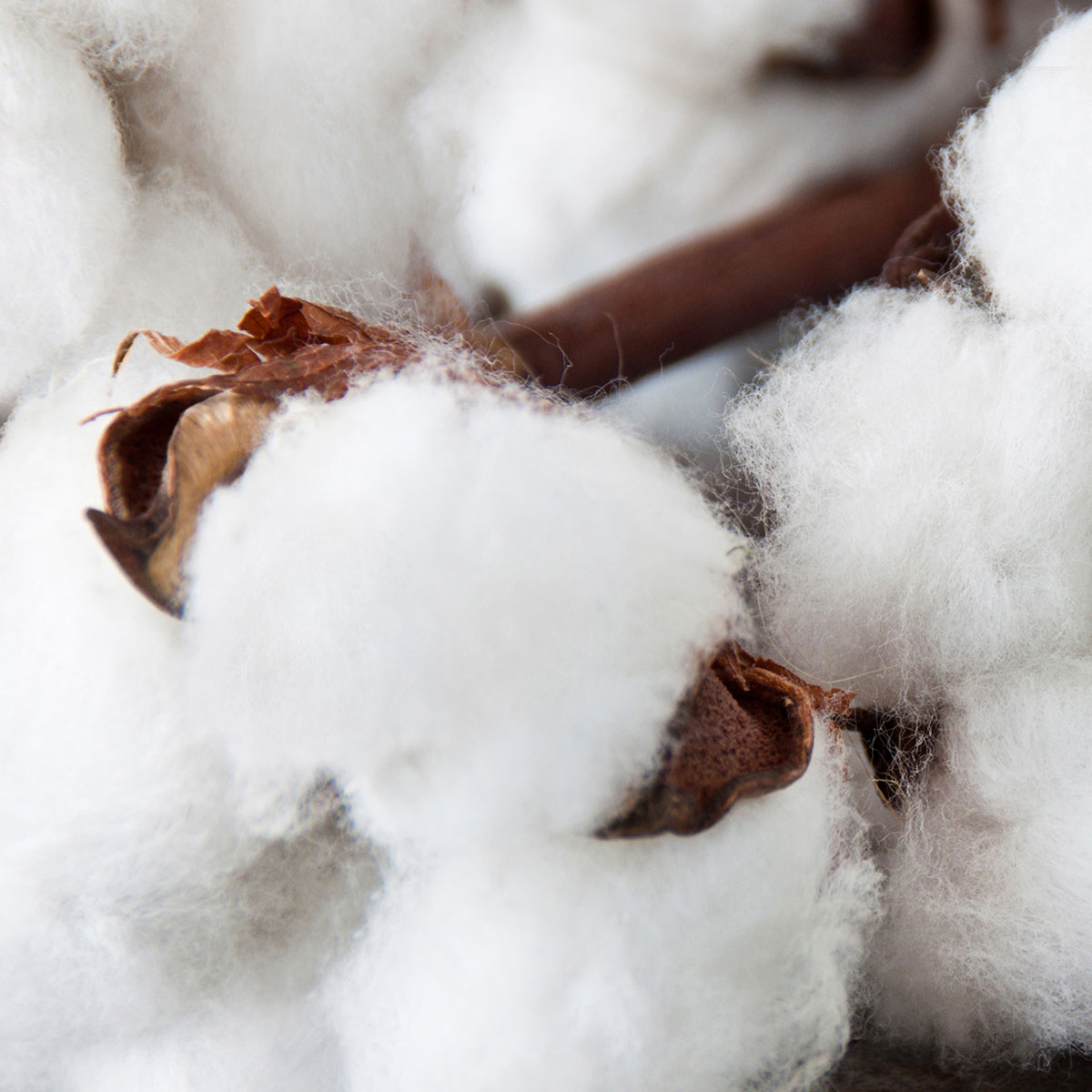 Kluft Natural Materials - Cotton
